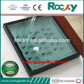 Hot sale ROCKY brand building Tempered Insulated Glass for window and door